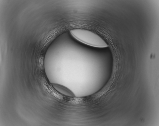 X0000112000288200908031054