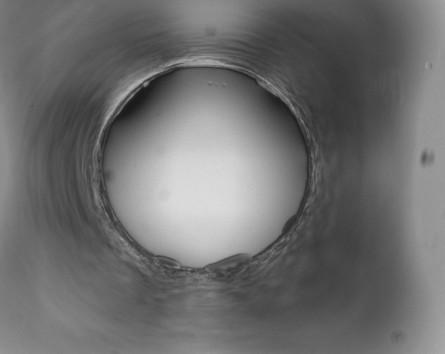 X0000112000289200908031053