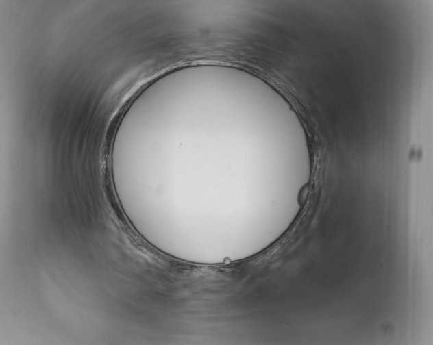 X0000112000290200908031053