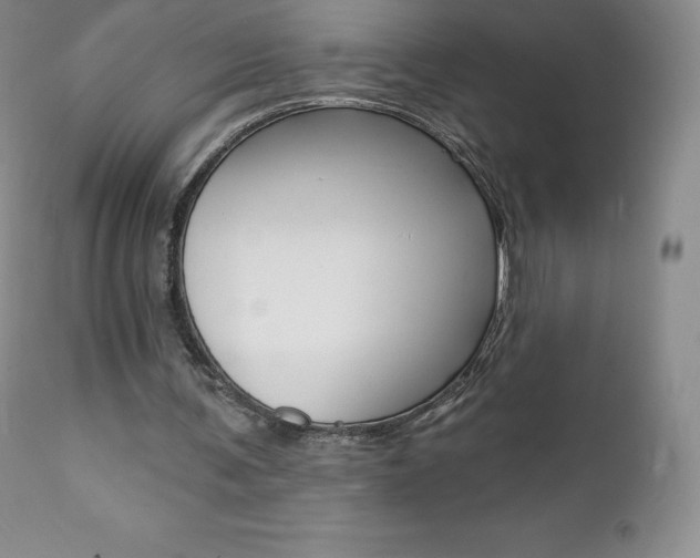 X0000112000291200908031053