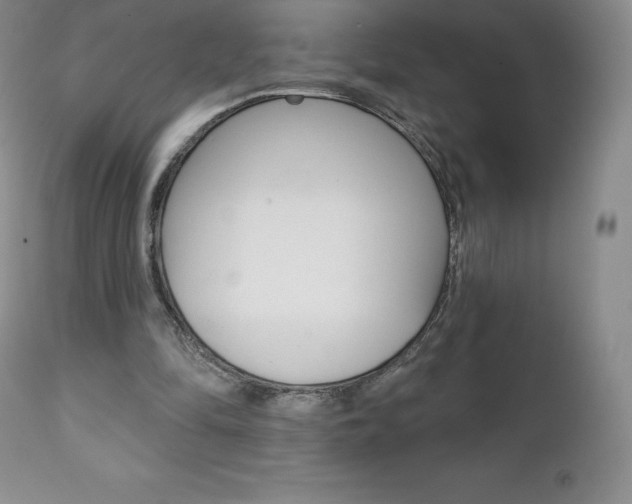X0000112000294200908031053