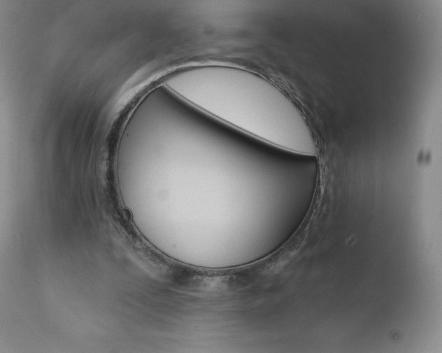 X0000112000295200908031053