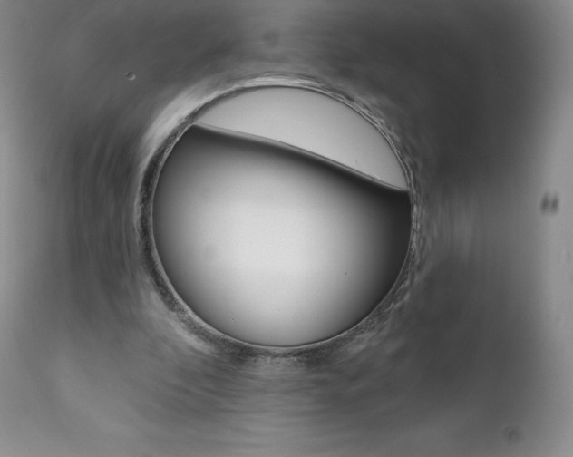X0000112000296200908031053