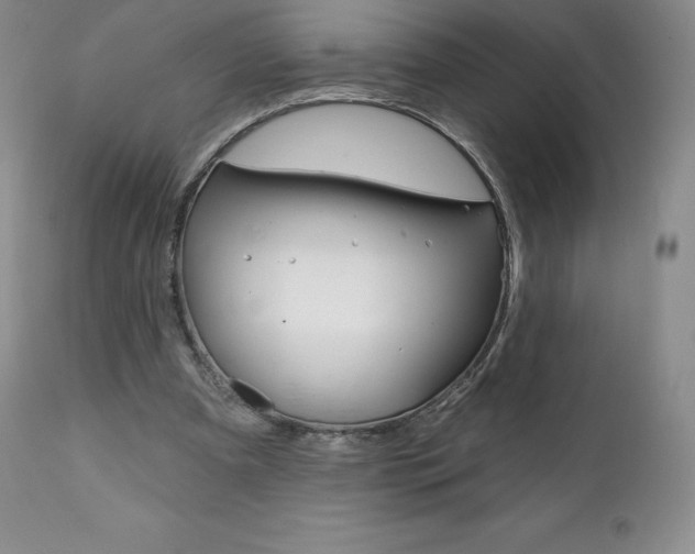 X0000112000297200908031053