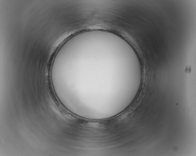 X0000112000298200908031053