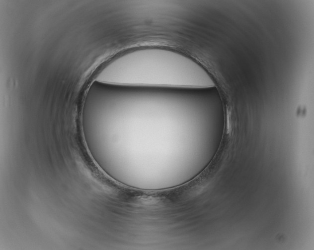 X0000112000300200908031053