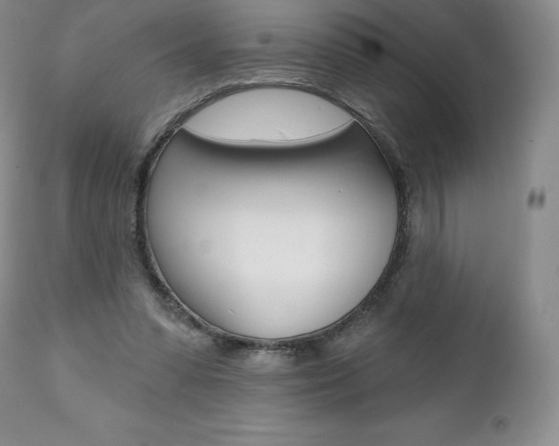 X0000112000303200908031053