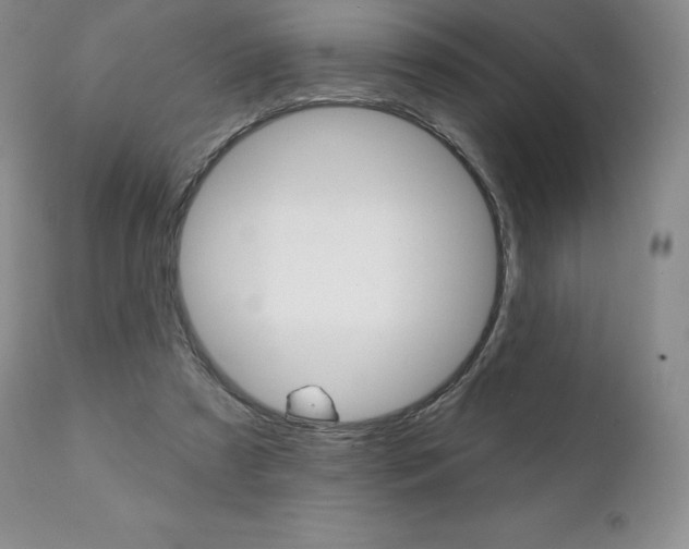 X0000112000305200908031053