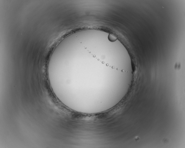 X0000112000306200908031053