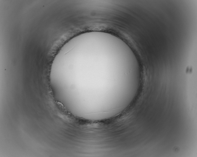 X0000112000307200908031053