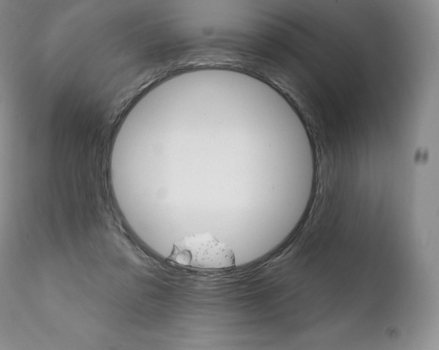 X0000112000309200908031053