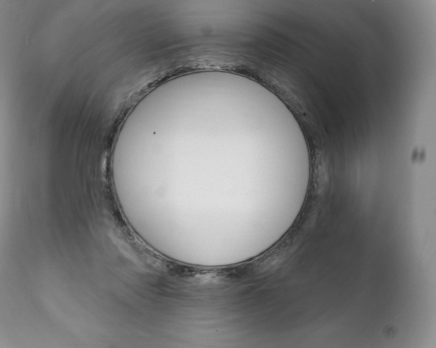 X0000112000310200908031053
