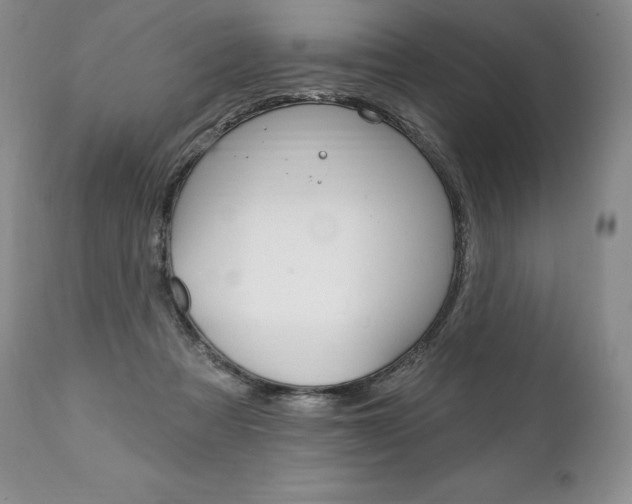 X0000112000313200908031053