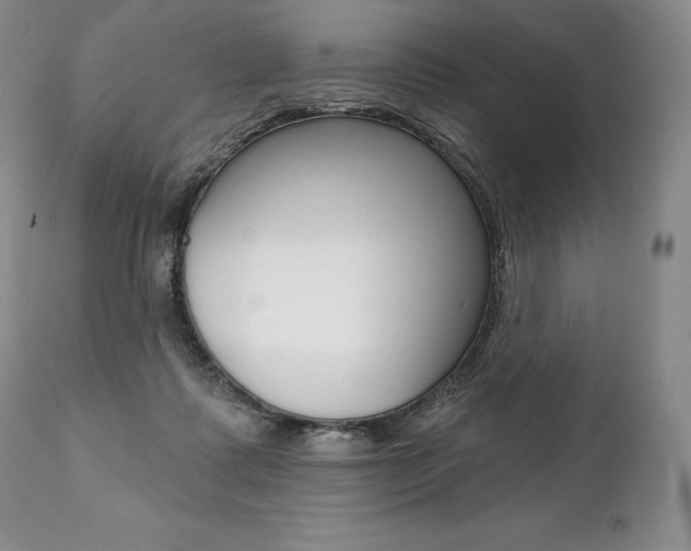 X0000112000315200908031053