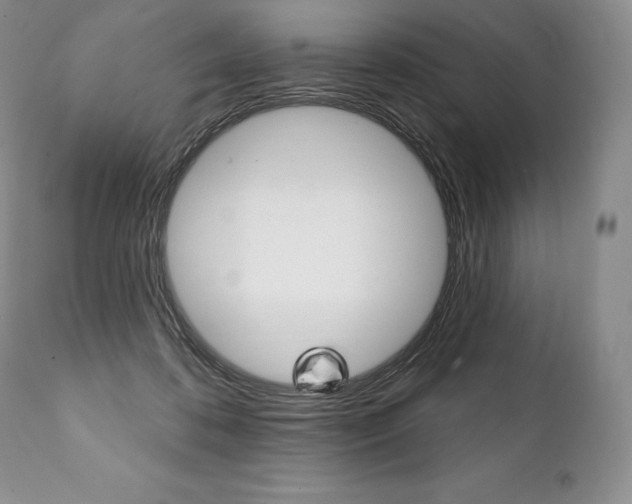 X0000112000316200908031053