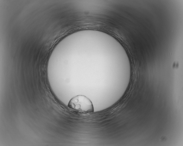 X0000112000317200908031053