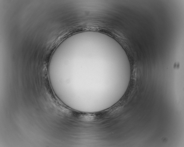X0000112000318200908031053