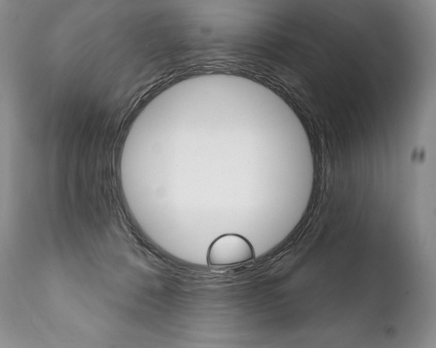 X0000112000320200908031052