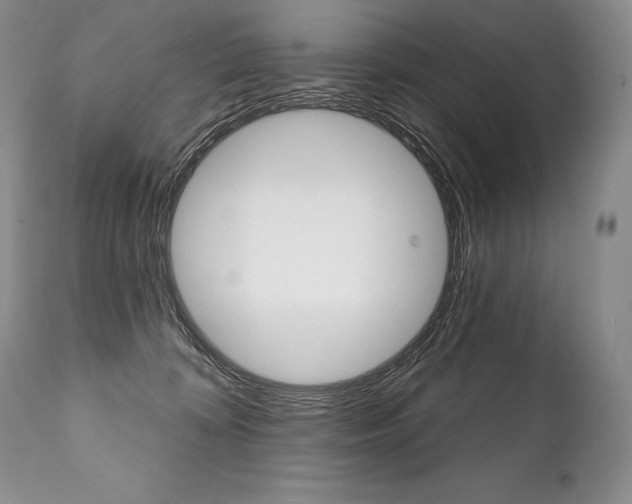 X0000112000324200908031052
