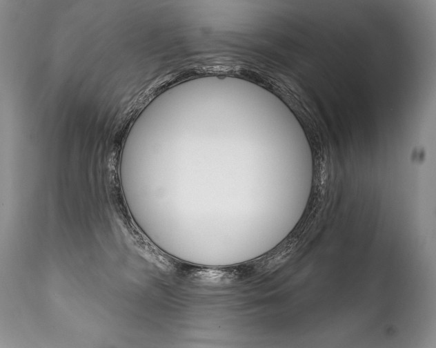 X0000112000326200908031052