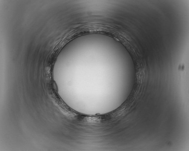 X0000112000327200908031052