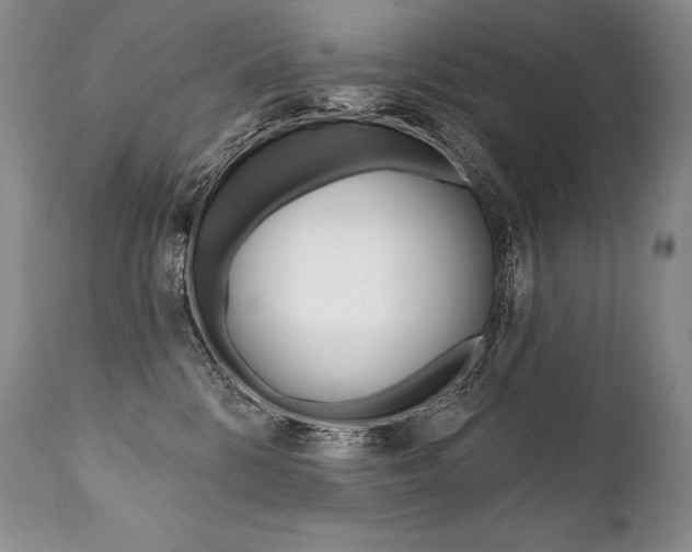 X0000112000328200908031052