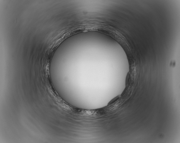 X0000112000329200908031052