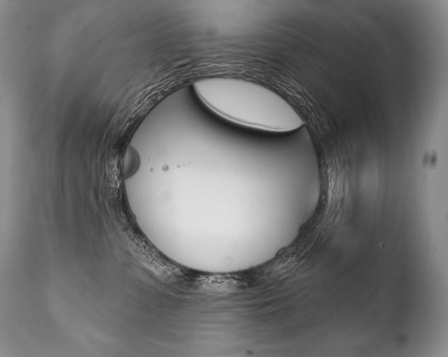 X0000112000331200908031052