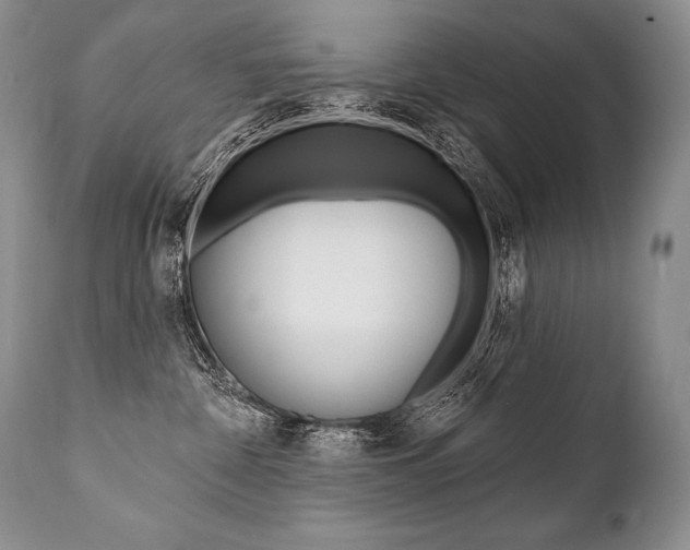 X0000112000332200908031052