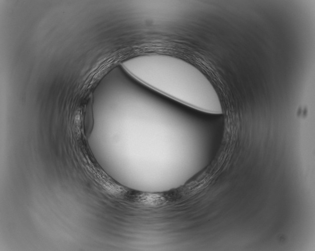 X0000112000333200908031052