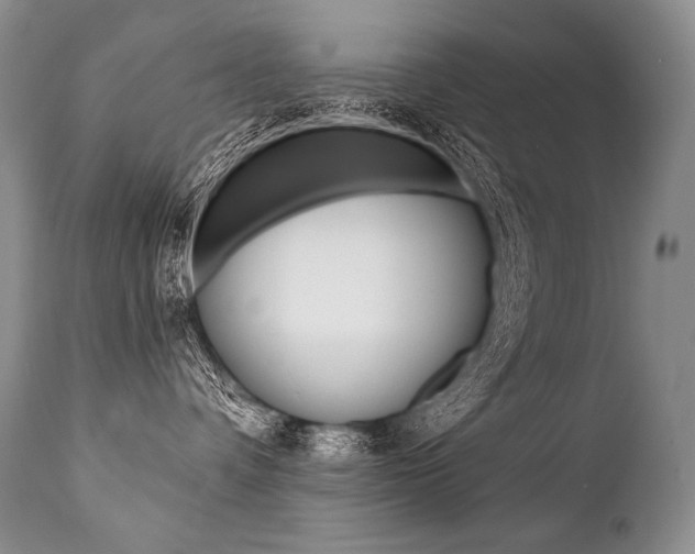 X0000112000336200908031052