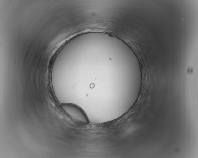 X0000112000338200908031052