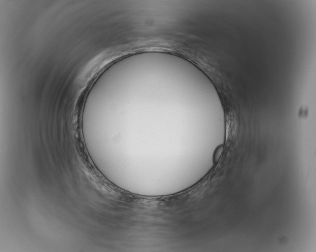 X0000112000339200908031052