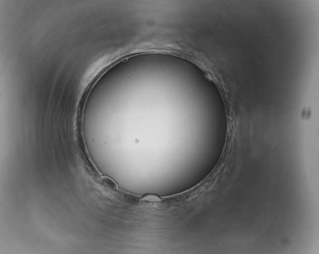 X0000112000340200908031052