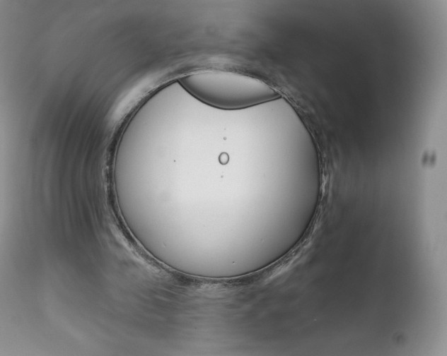 X0000112000341200908031052