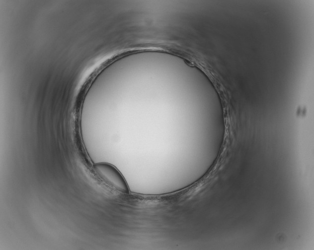X0000112000342200908031052