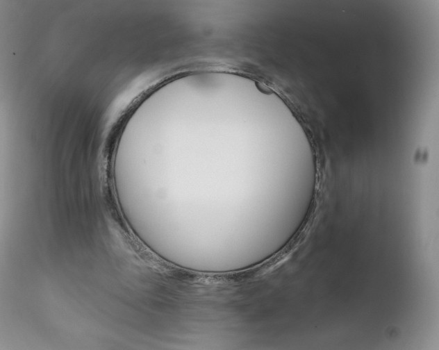 X0000112000343200908031052