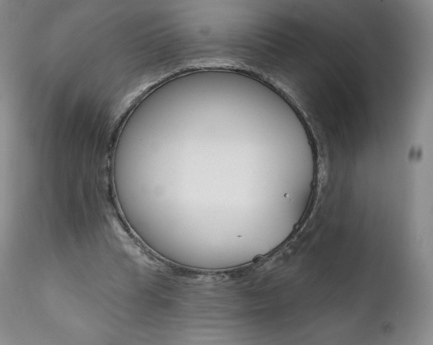 X0000112000345200908031052