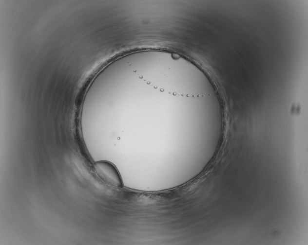 X0000112000346200908031052