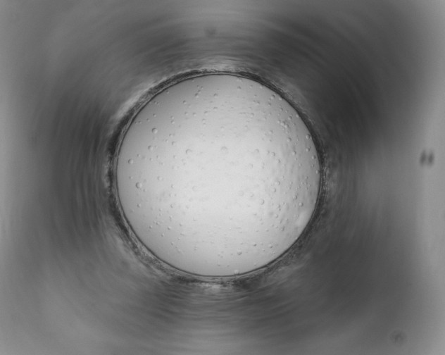 X0000112000347200908031052