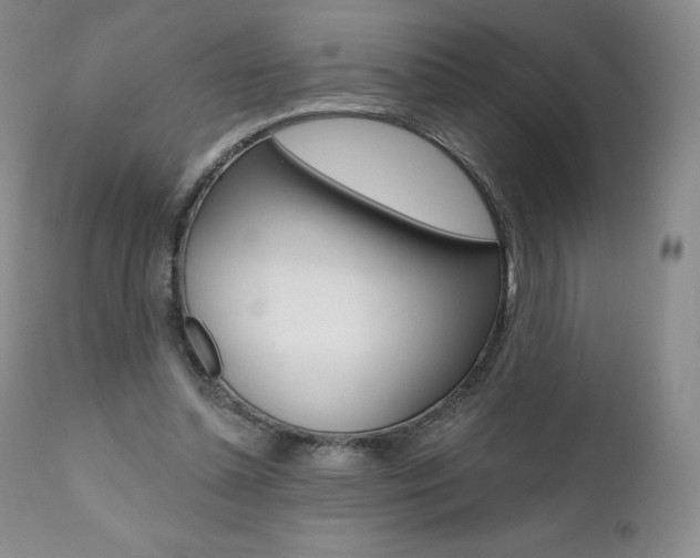 X0000112000348200908031052