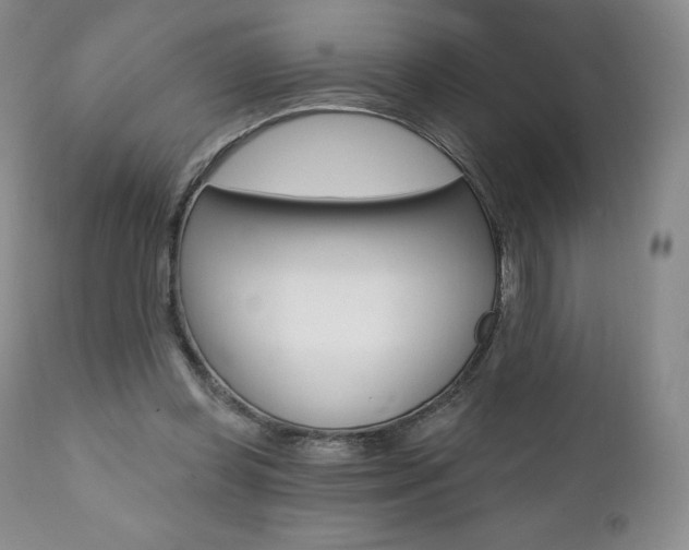 X0000112000349200908031052