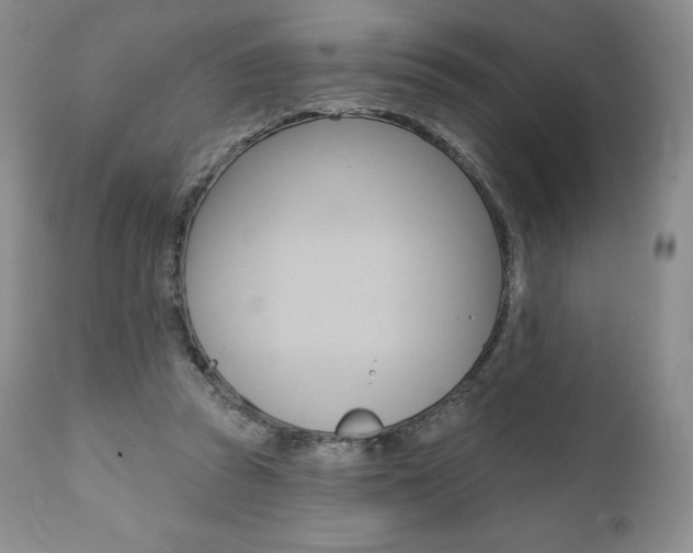 X0000112000353200908031052