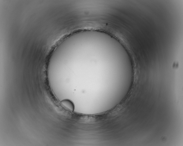 X0000112000354200908031052