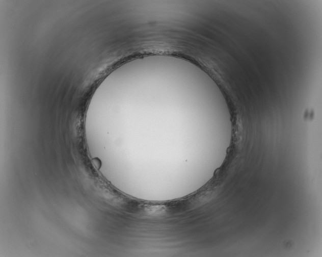 X0000112000355200908031052