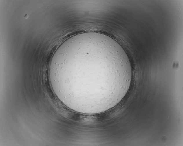 X0000112000359200908031052