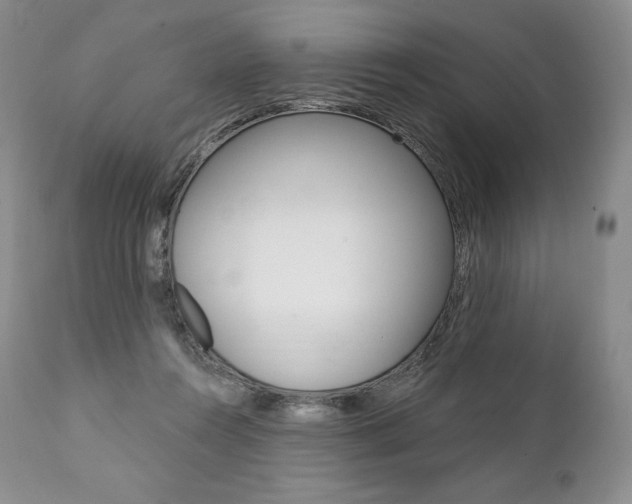 X0000112000360200908031052