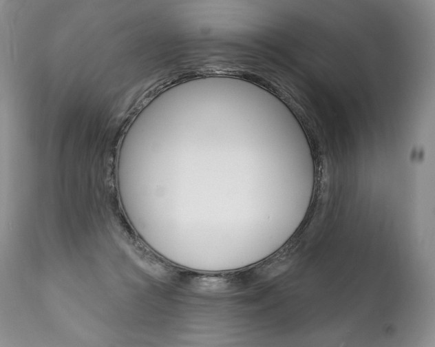 X0000112000361200908031052