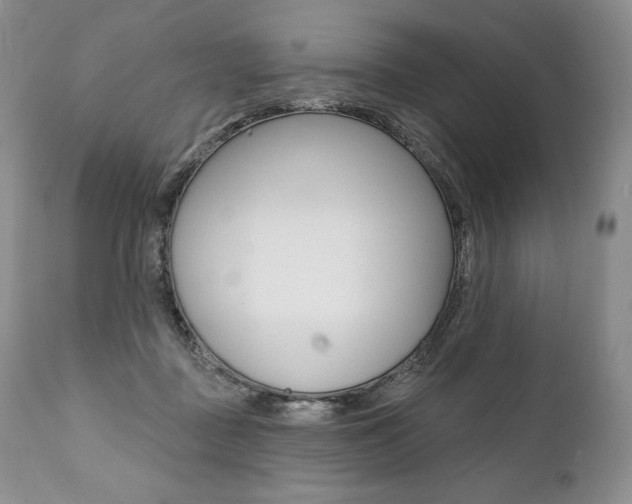 X0000112000363200908031052