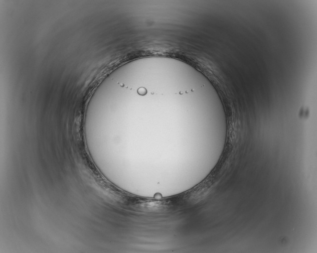 X0000112000365200908031052